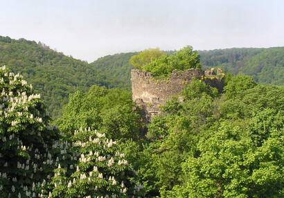 Starší hrad v záplavě květnové zeleně.