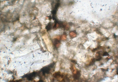Na mikroskopickém snímku omítek jsou zobrazeny krystaly melilitu.