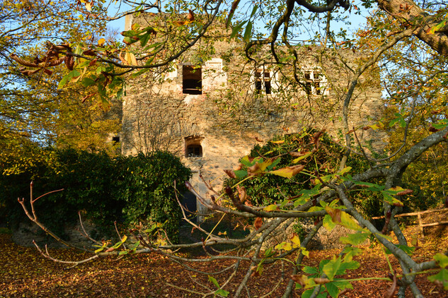Průčelí mladšího hradu v podzimních barvách.